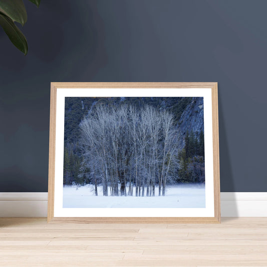 06b954a0-81fc-48c2-baeb-cb3938125558