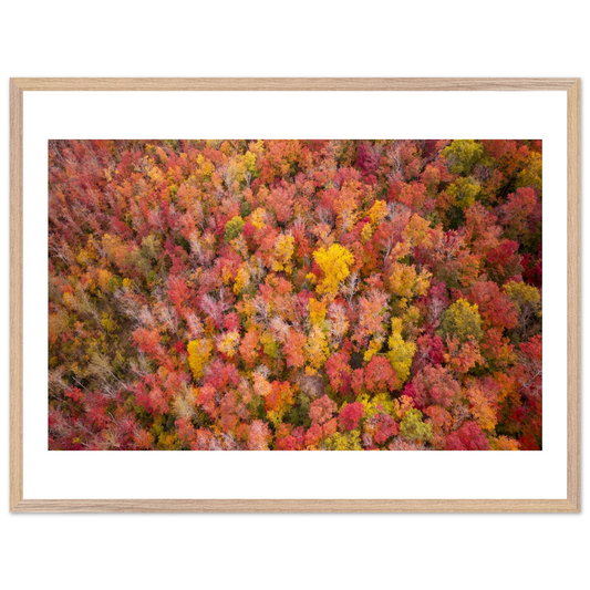 0eb57d5f-1dda-47cd-89c5-60fc925c84f7