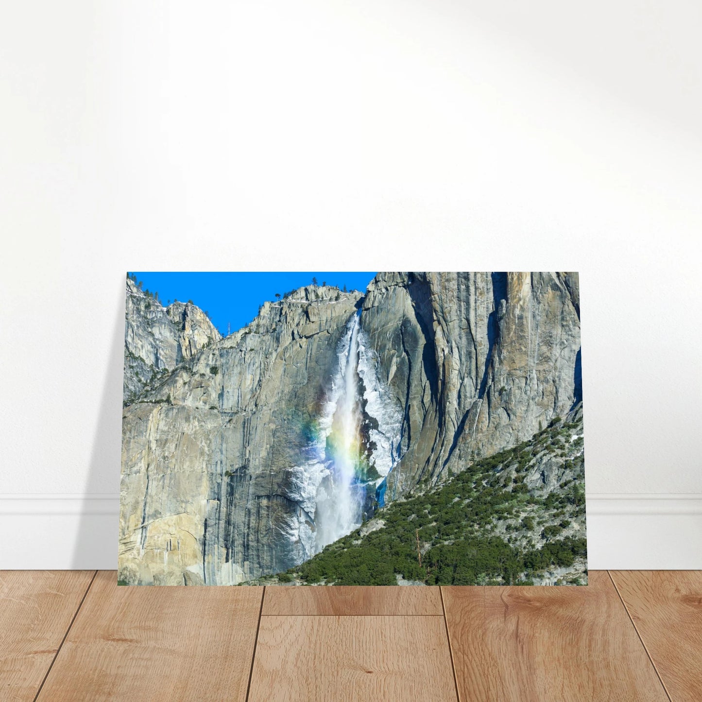 18552d6c-bf6f-4a3e-9dee-c4a9bb604ead