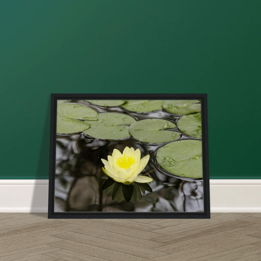 5f7d67d1-039a-4d84-8d98-12393a92e68a