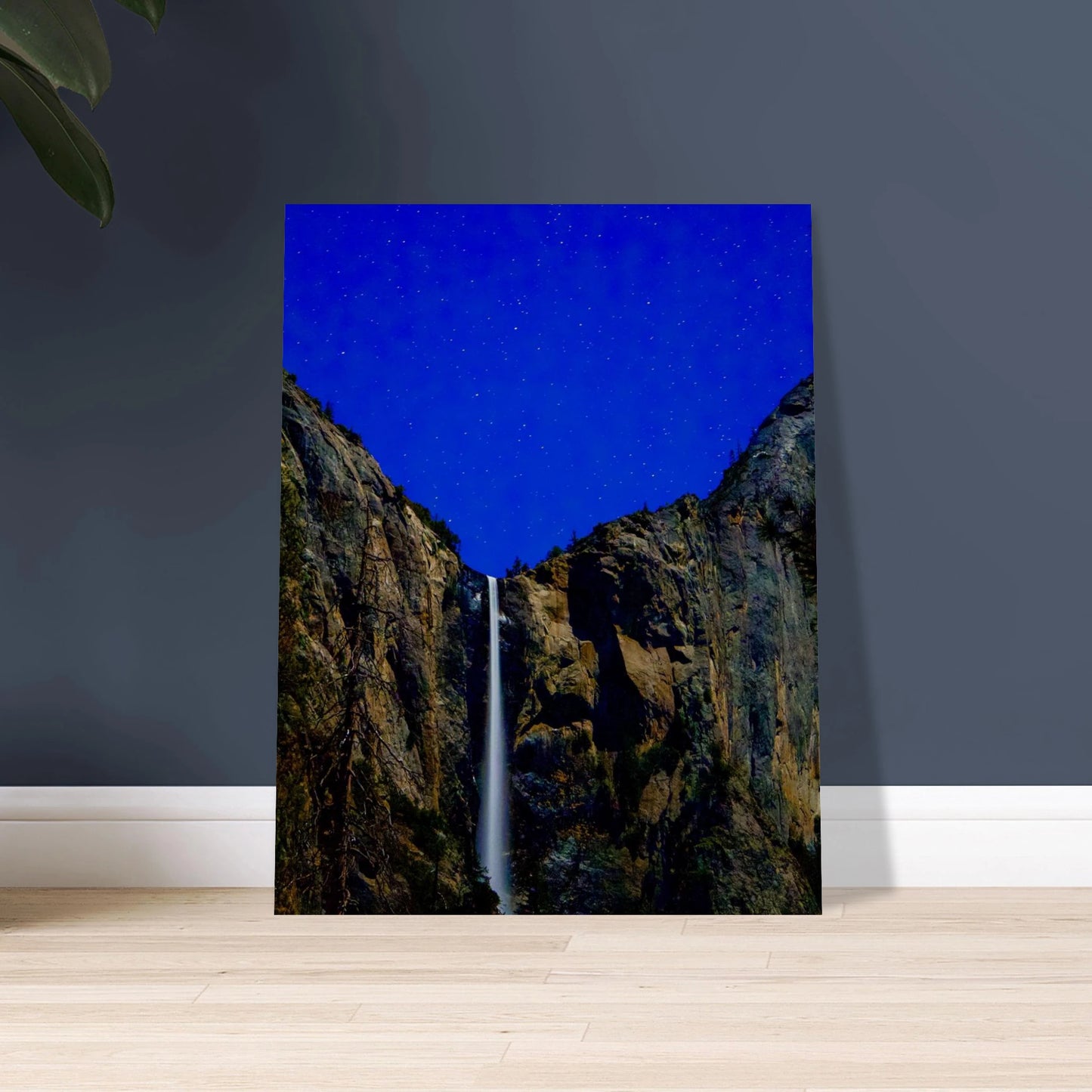 bba65c21-67ae-4e0f-a876-0e3a40ed4409