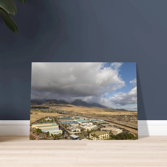 e036110c-3718-48d9-8645-a34f94d467f5