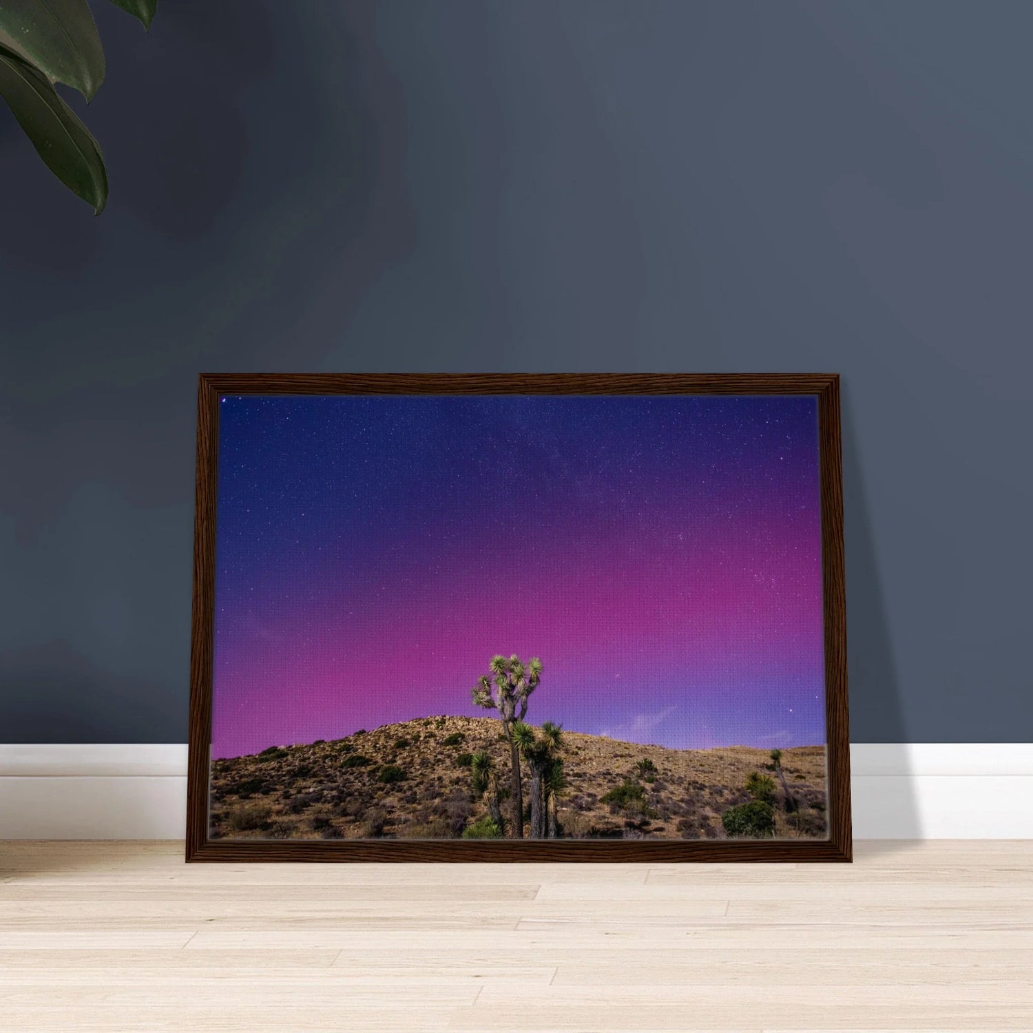 Auroras and Astrophotography