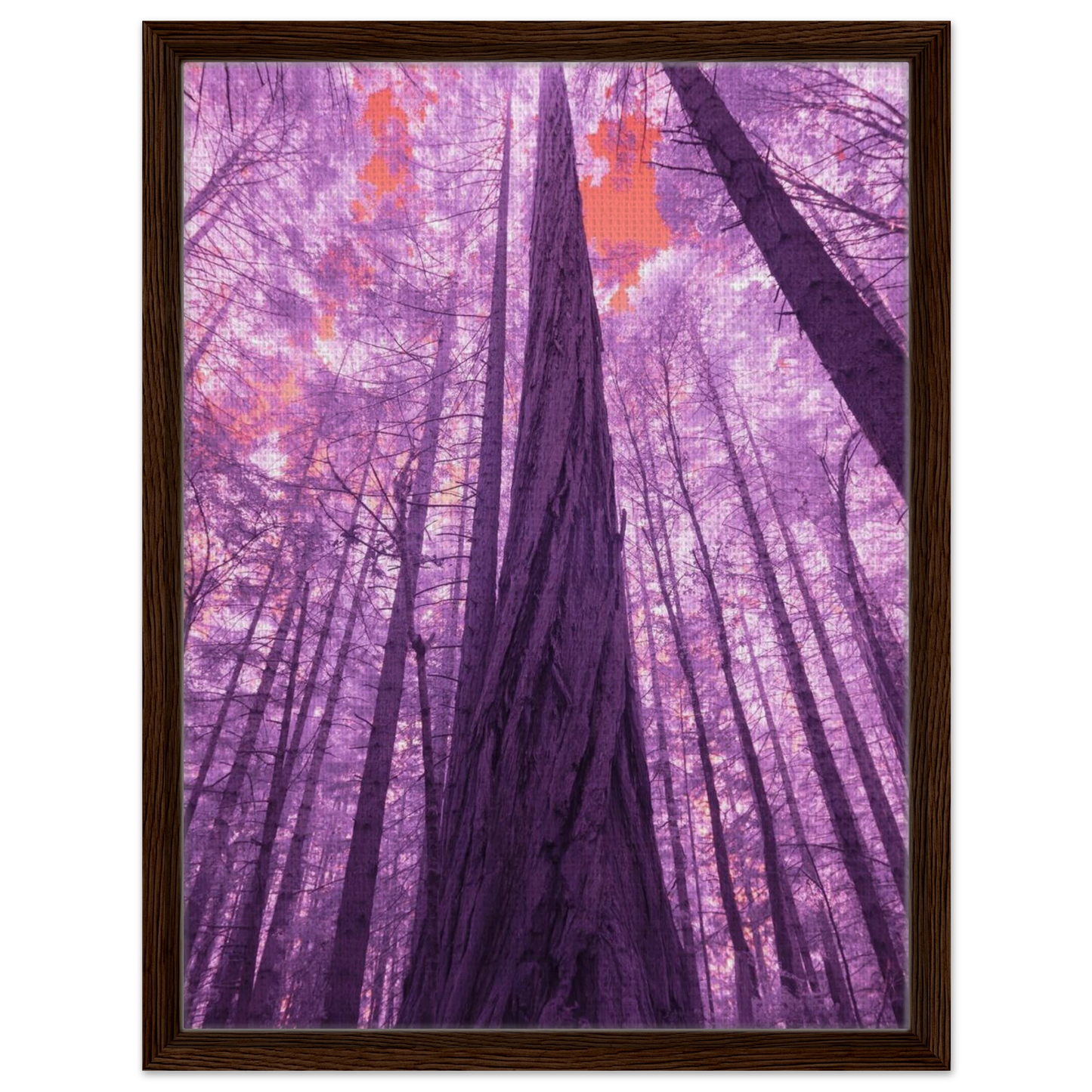 000884ec-3882-4e5f-8f8c-558811084ca5