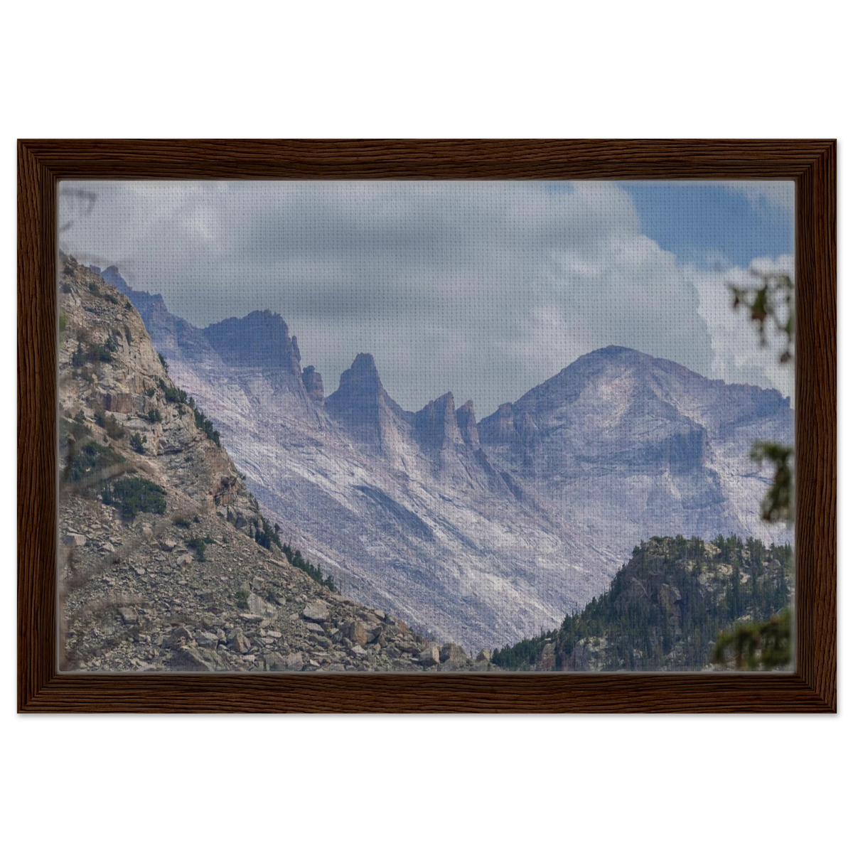 Infrared Redwoods — Dawn Sentinel — framed or canvas wall art preview
