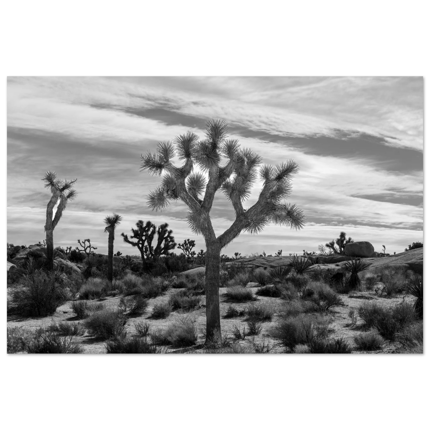 005750cb-2043-49d2-b247-c003a9c269bb