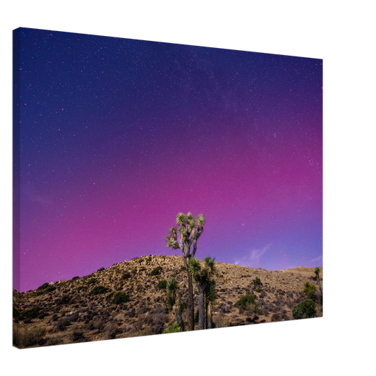 00e62656-359c-4b00-8bfc-5322cf40a62c