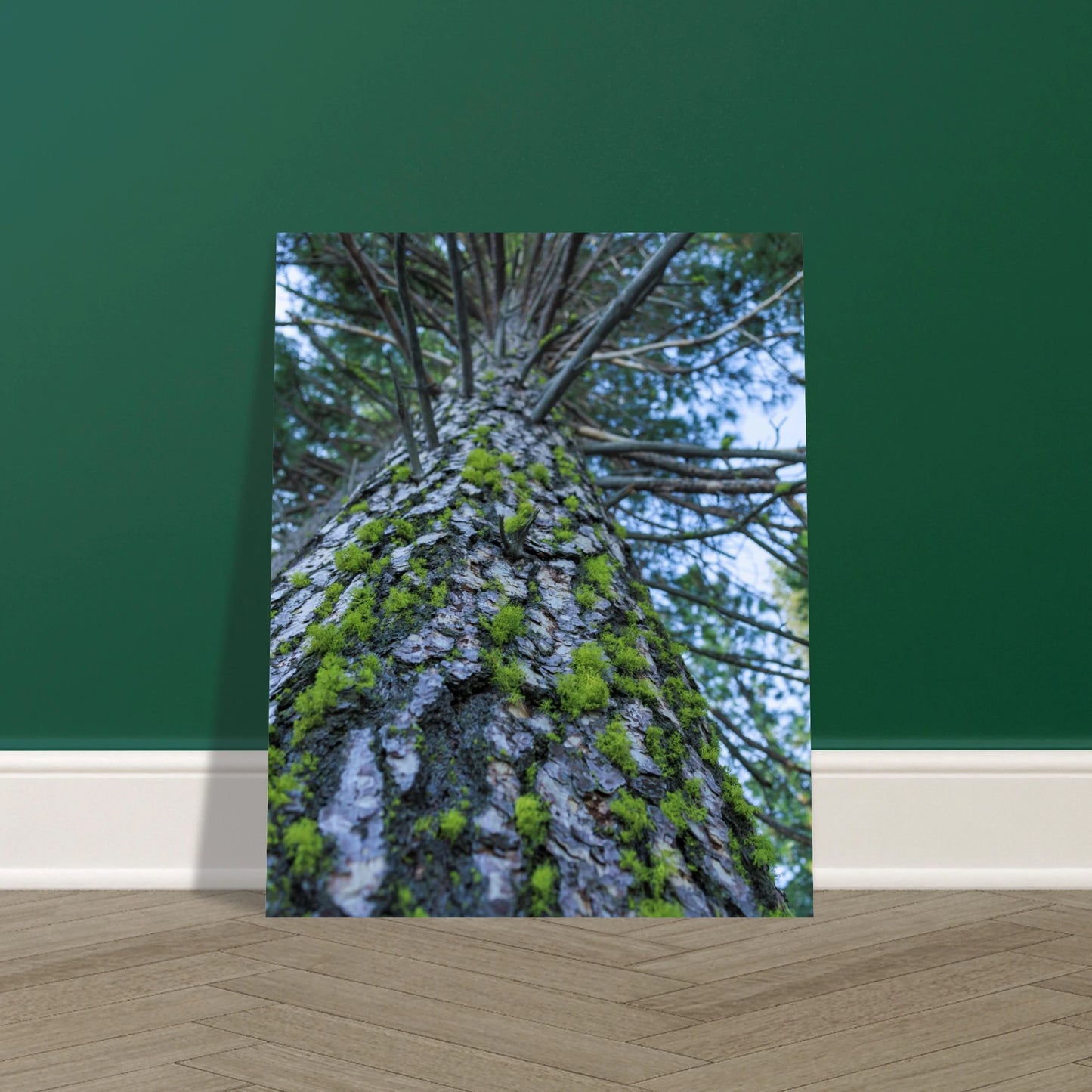 01157265-3be9-4e23-b41b-d1e6829f4f3b