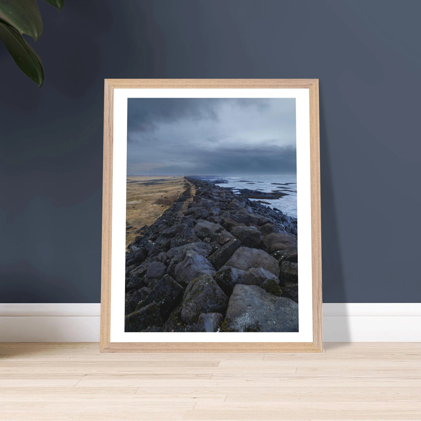 01c58dc9-6cdb-4568-90ed-9c49420b7a80