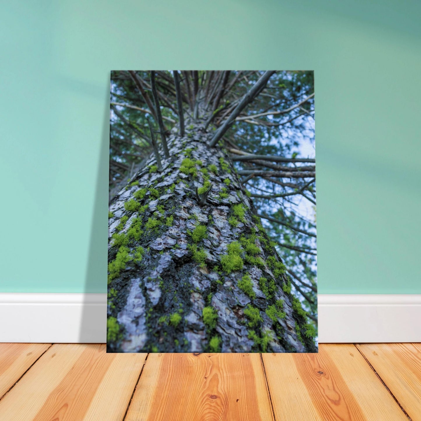 02e4af25-98da-40f0-9de7-e99ac1ca0824