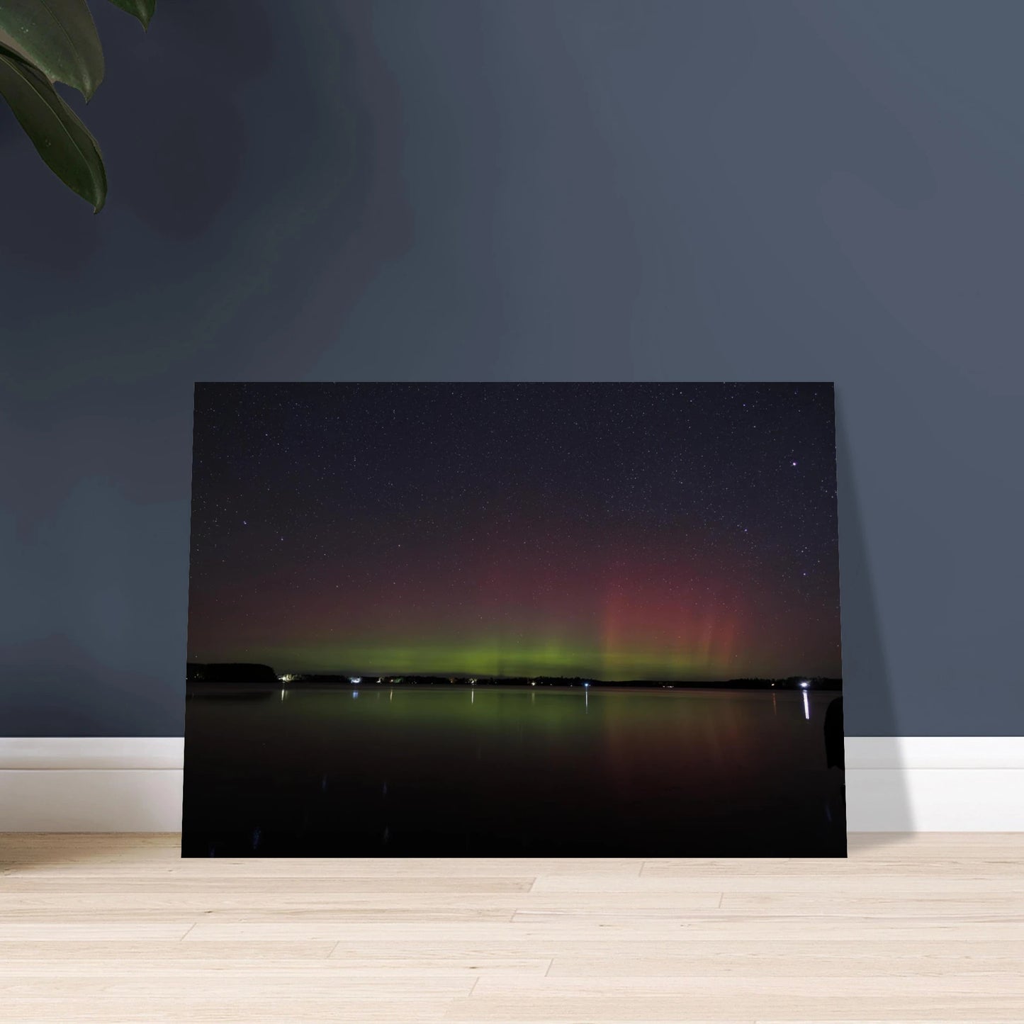 03484135-769b-46f5-bdb7-401d572bc562