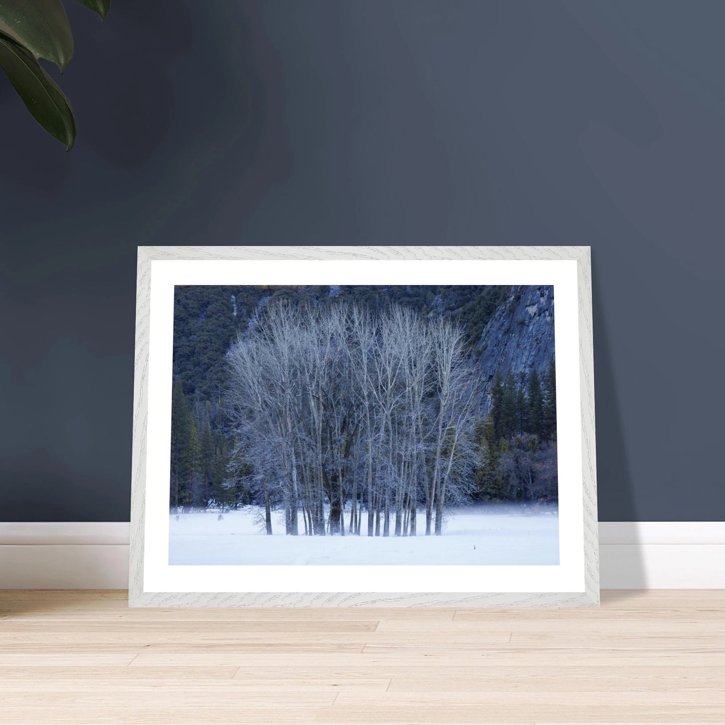 05547bc5-c437-4616-a1b3-344c049f10f2