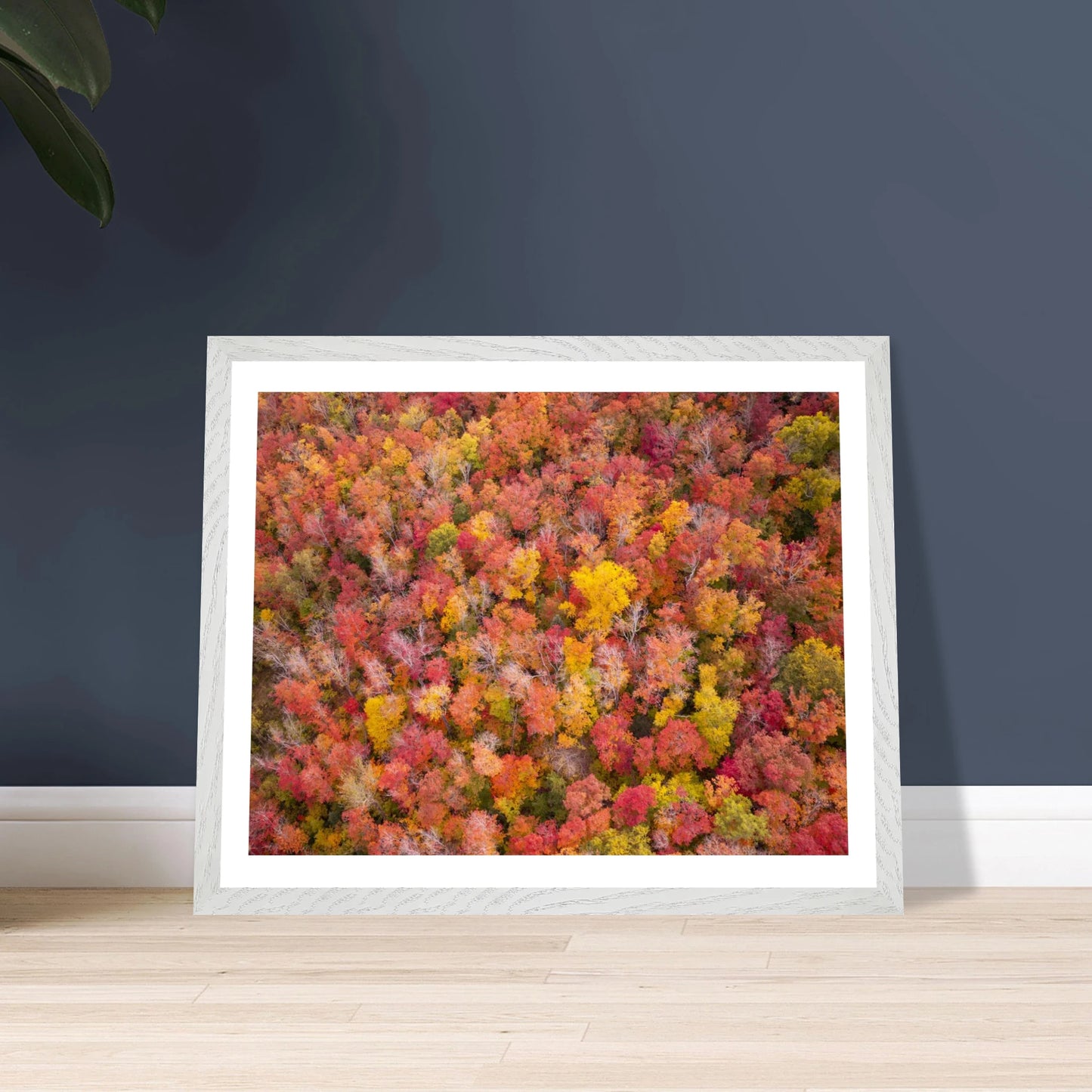 0606f934-0a08-4ac7-b0dc-98595bc0deeb