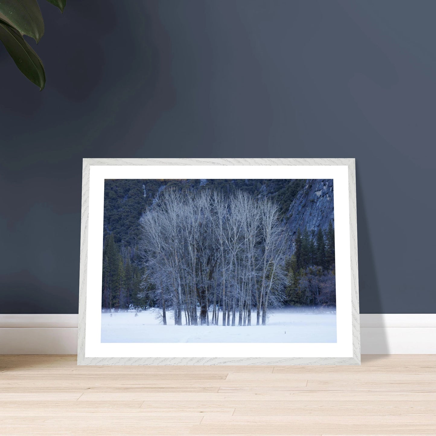 065e450b-4e3e-4de7-b85e-58c5ec17dea4