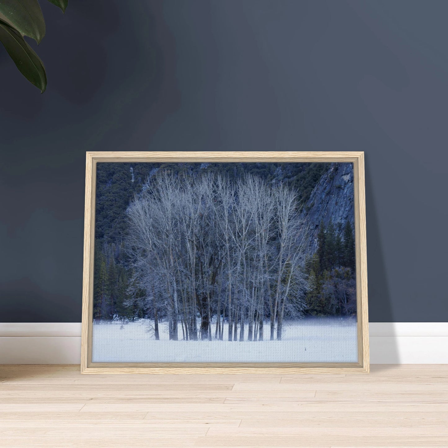 066cefe7-cd64-471b-9cf8-ce53af1ca20c