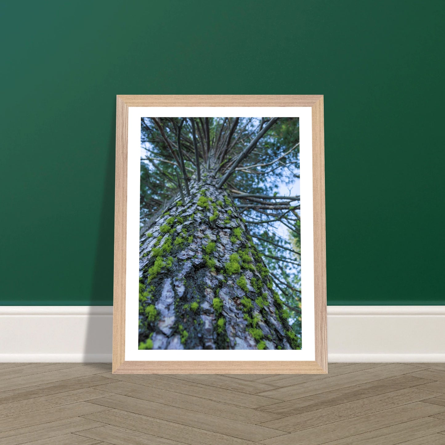 066fd0f6-1c69-4a5f-89fb-859848e8f6a1