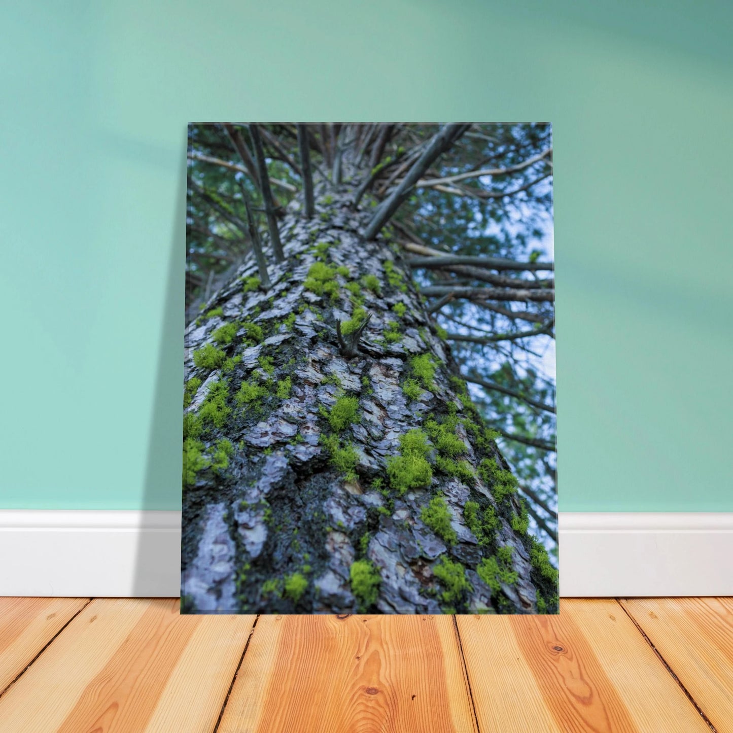 0819b51a-2943-488a-8fa8-366938b2aa4f