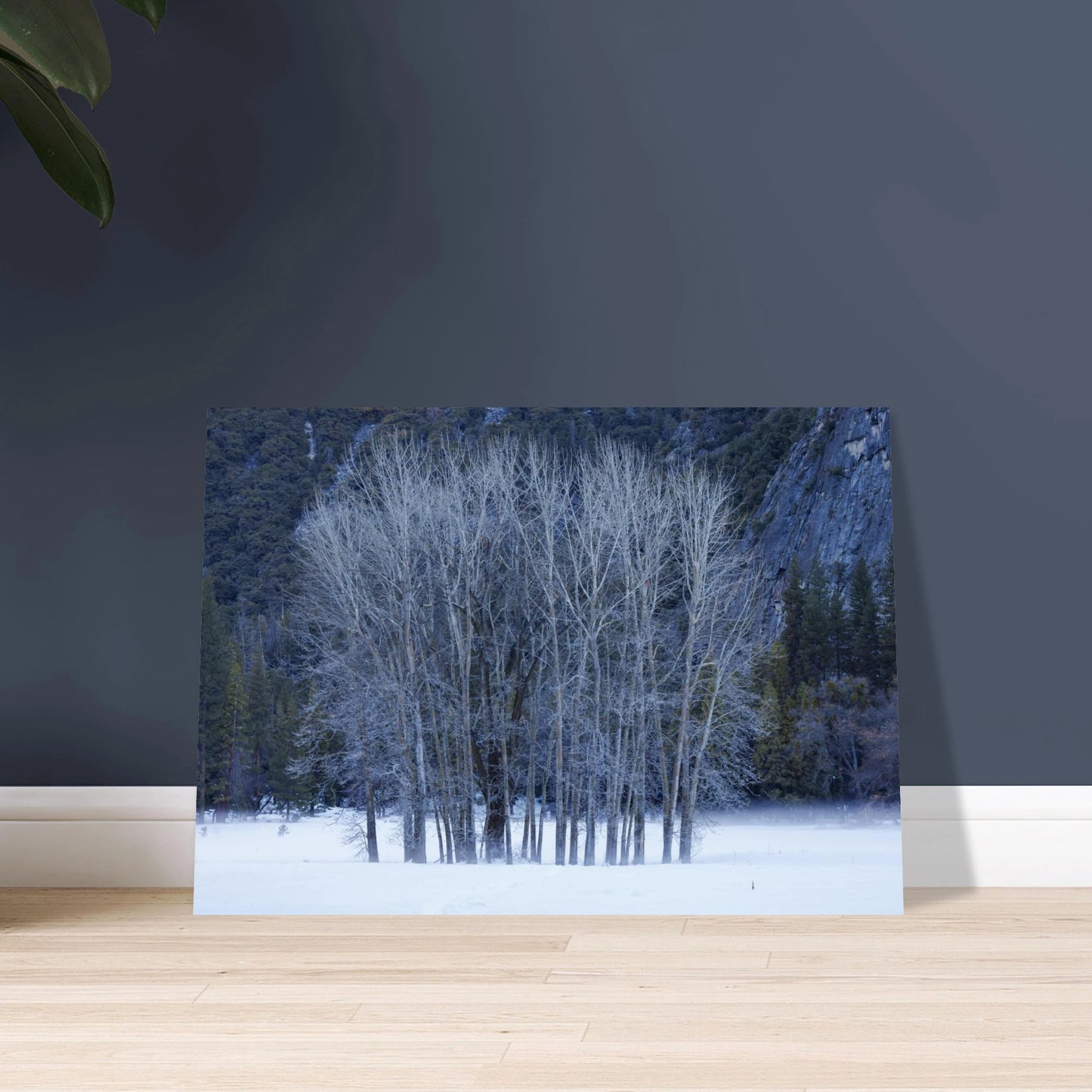 0bdce5d5-2567-4d98-bbd5-eae4d2508d73