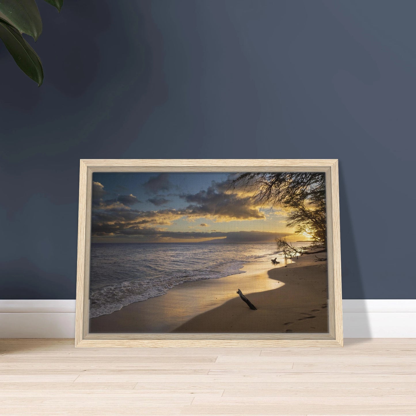 0d4ae2b8-37b4-4398-bd24-8c6ecb2519c7