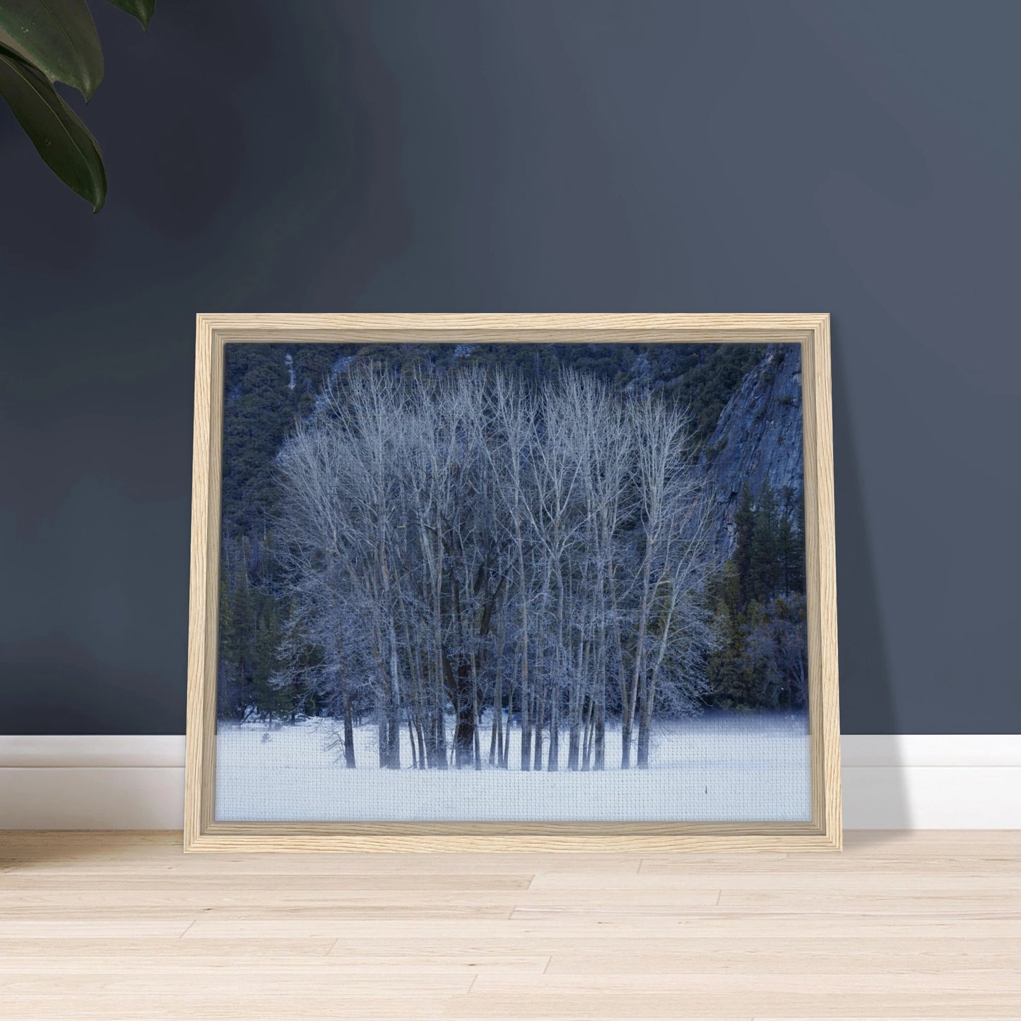 0e586a68-f359-499f-912a-3b6bd32f488b