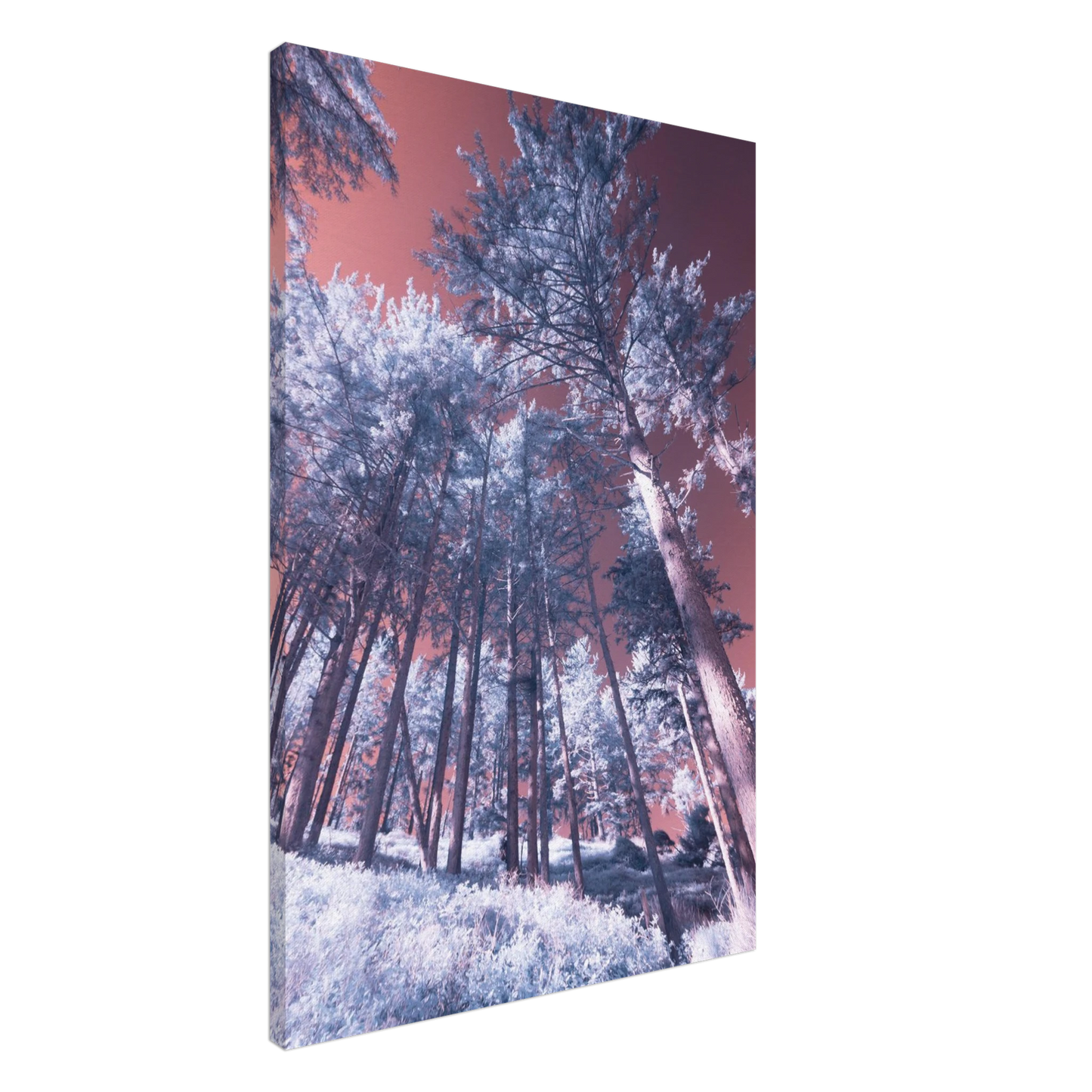 0eabf01c-d389-4e6c-abc6-a65aae0b326f
