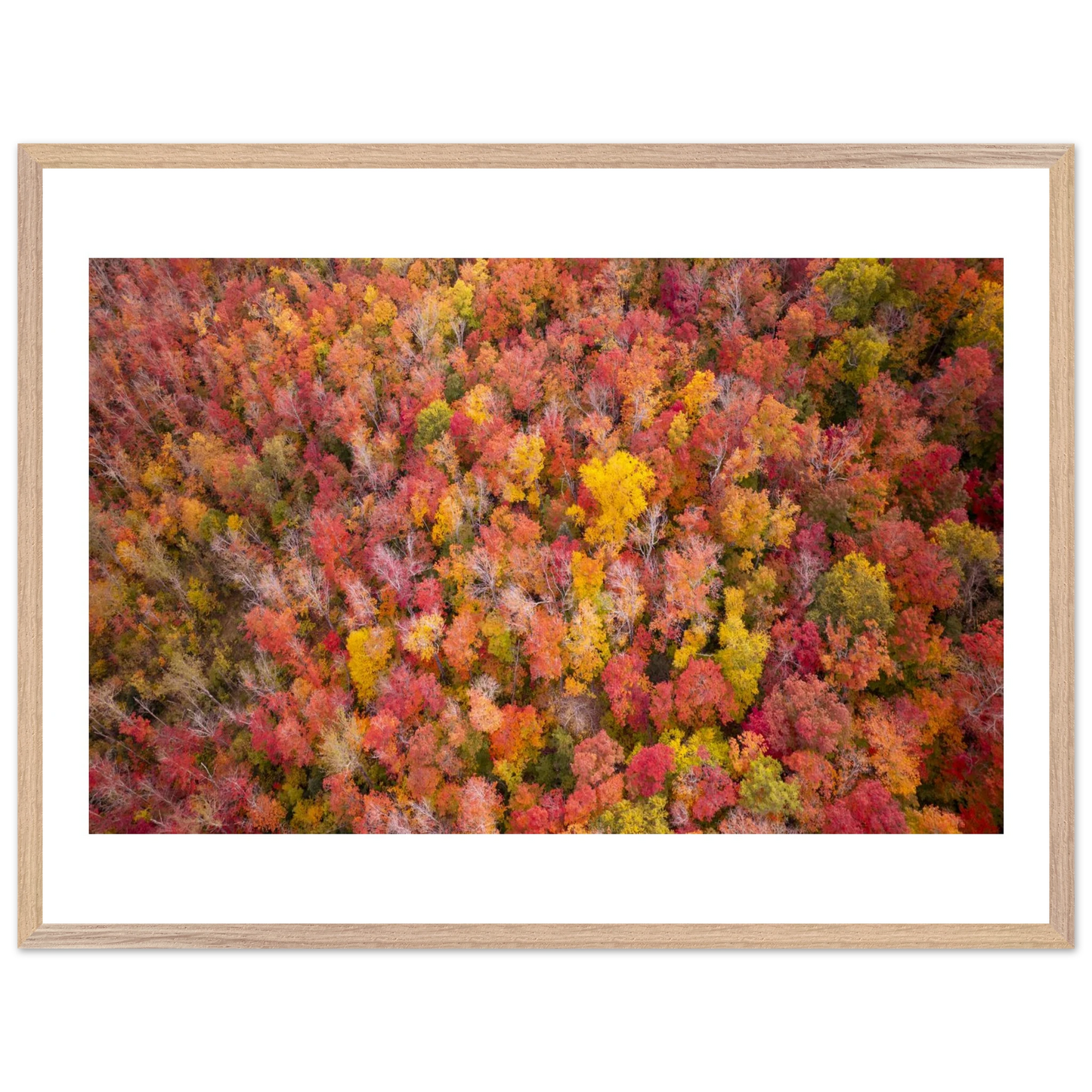 0eb57d5f-1dda-47cd-89c5-60fc925c84f7