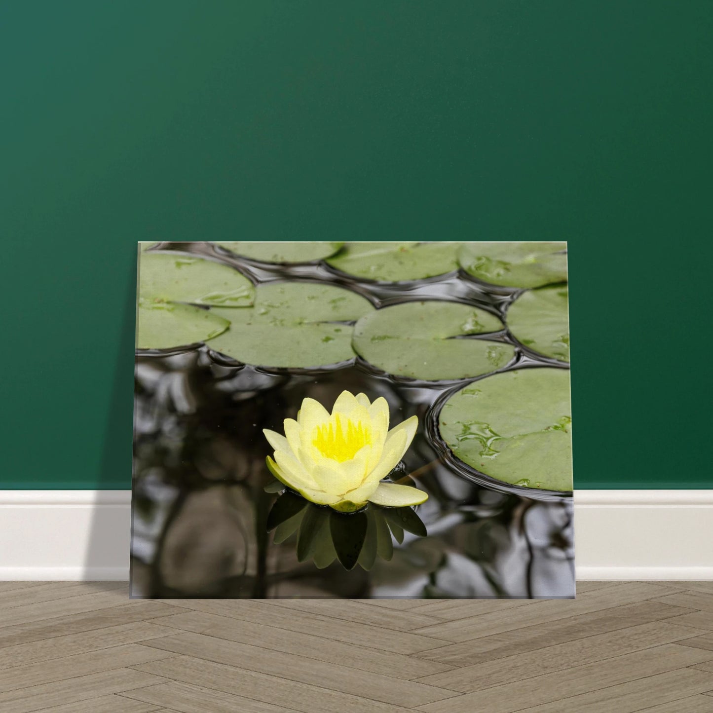 0f70db2b-6bf3-4e0b-a622-b556596554bd