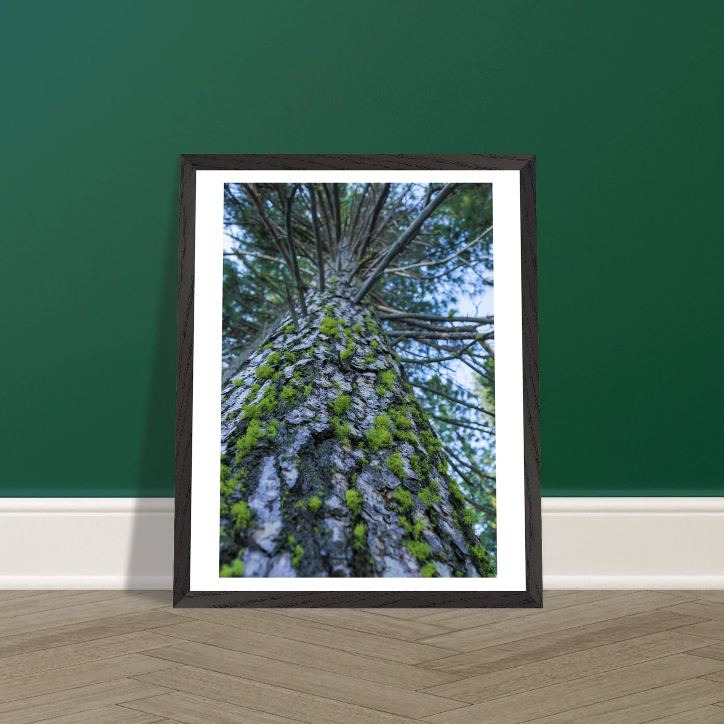 0f9b594c-a3fc-4b3d-9671-e5ee8f479cb2