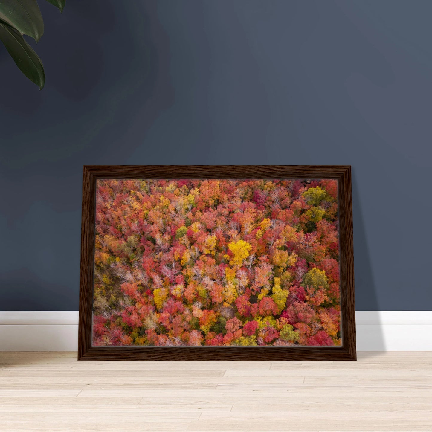 0ffd0802-8cc3-4de9-a652-2d16febc0097