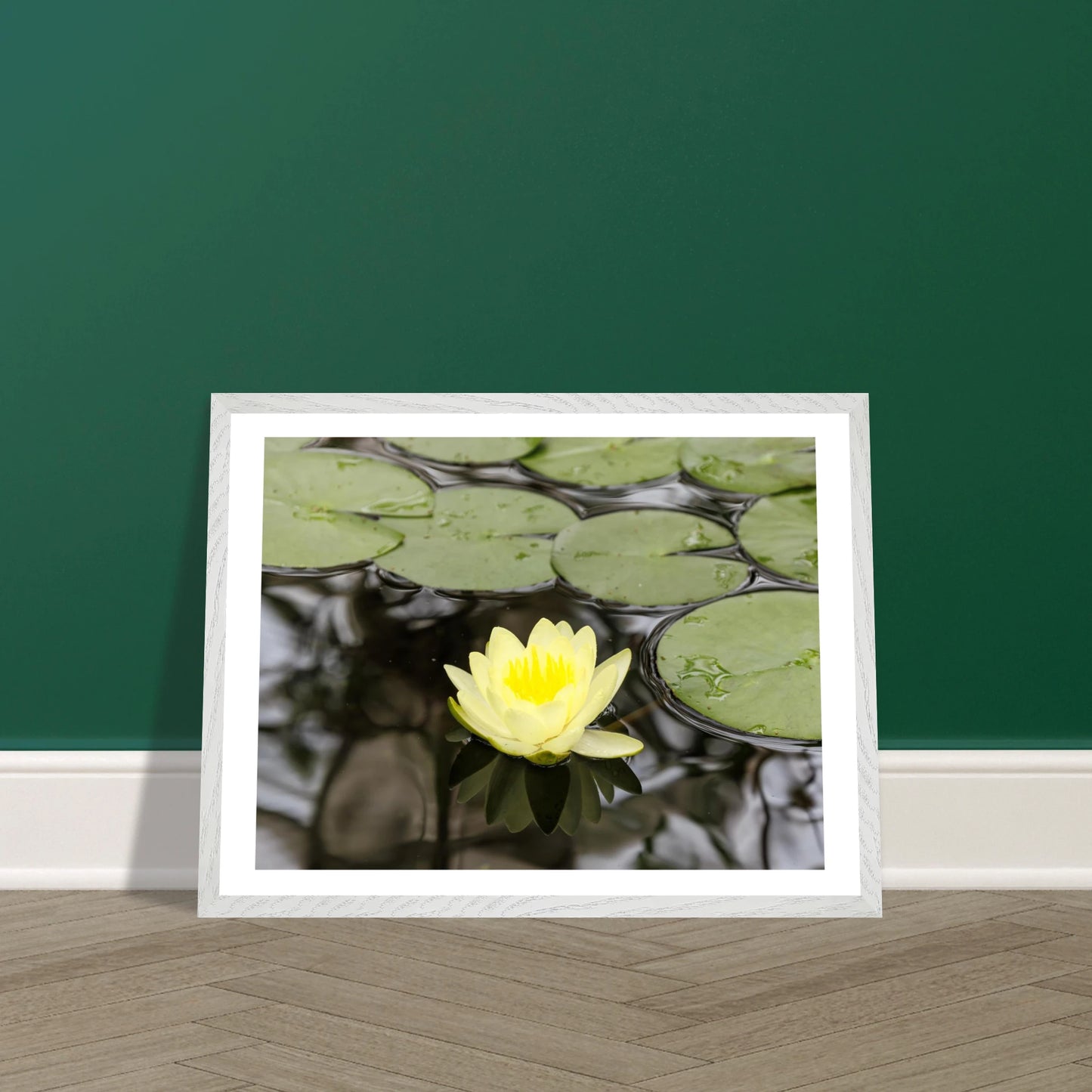 10a11ca5-b277-480b-b36e-023c0cad4e7c