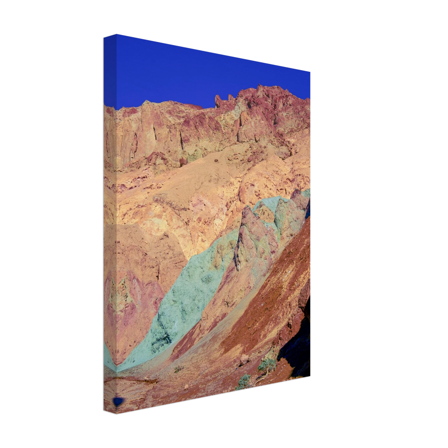 11915565-a072-4277-93d9-b63ee77e97fd