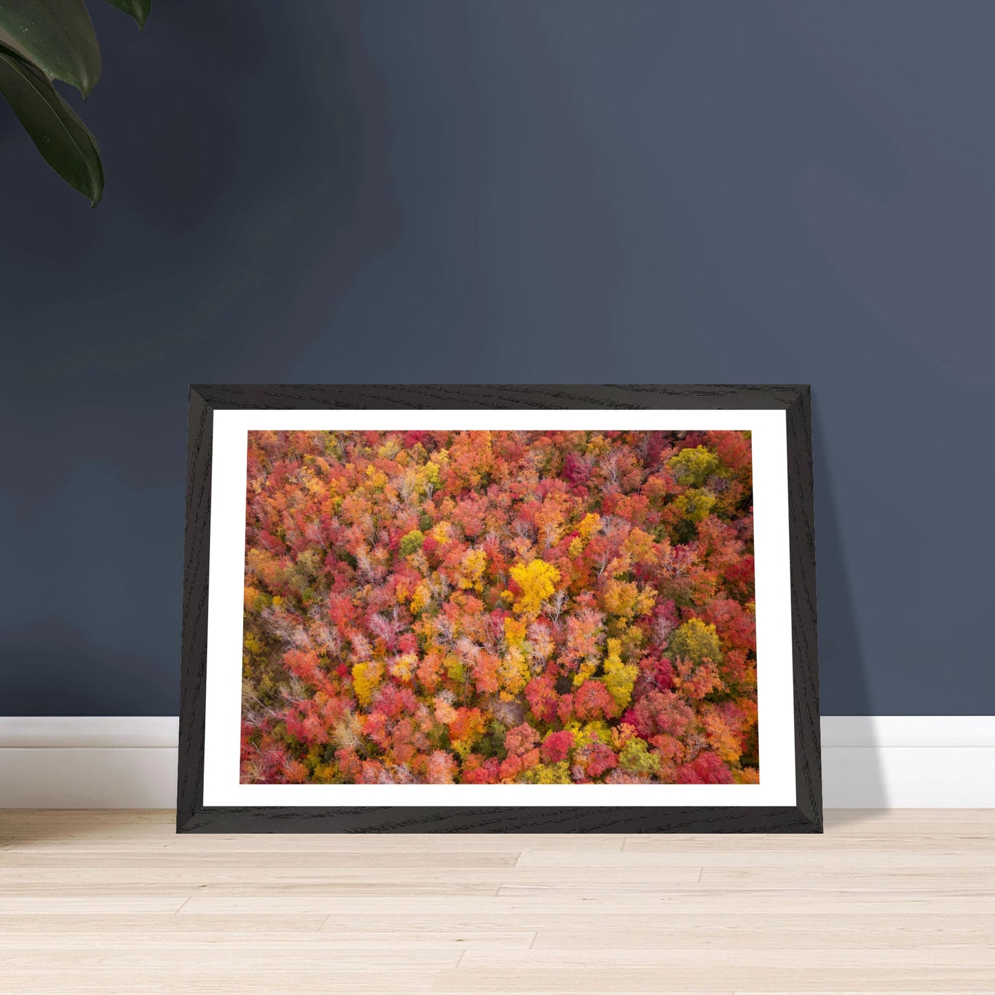 12357b44-5190-4050-a19f-836d438cd043