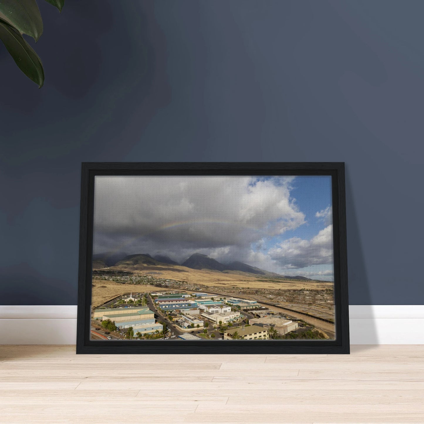 12fa5570-18be-4205-bb60-d905710f6708