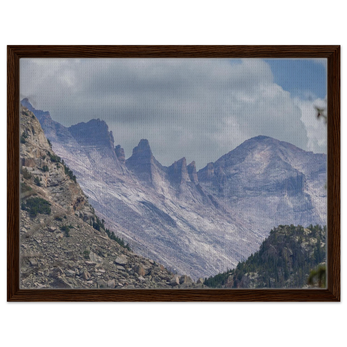 Infrared Redwoods — Dawn Sentinel — framed or canvas wall art preview