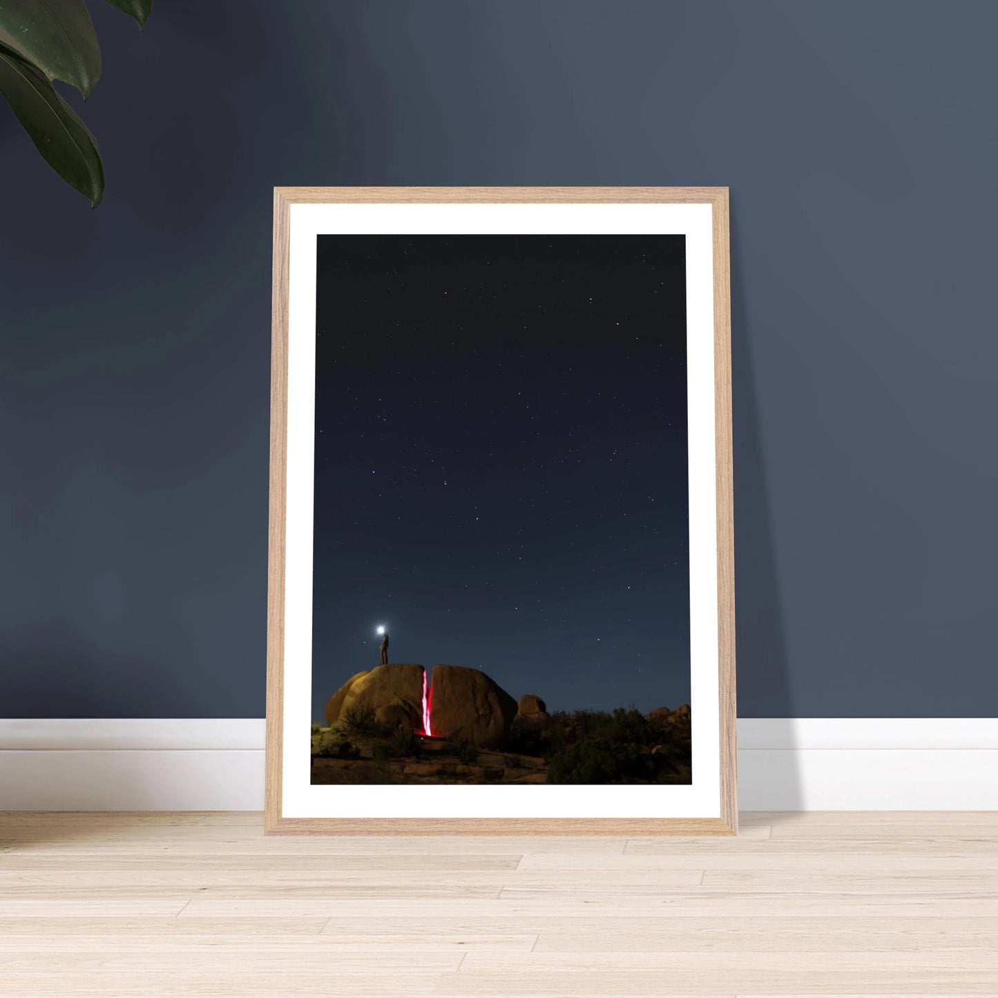 133d053d-0561-45af-b129-db50c87d70fd