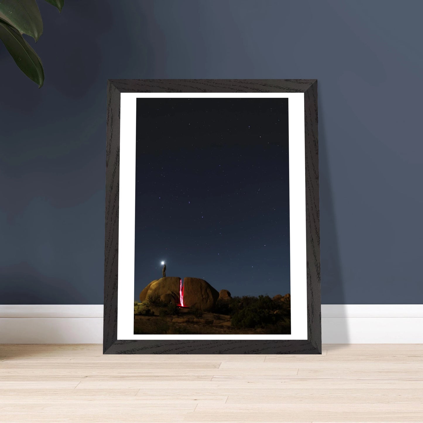 15d798fc-502b-4722-944c-0d58a41837e2