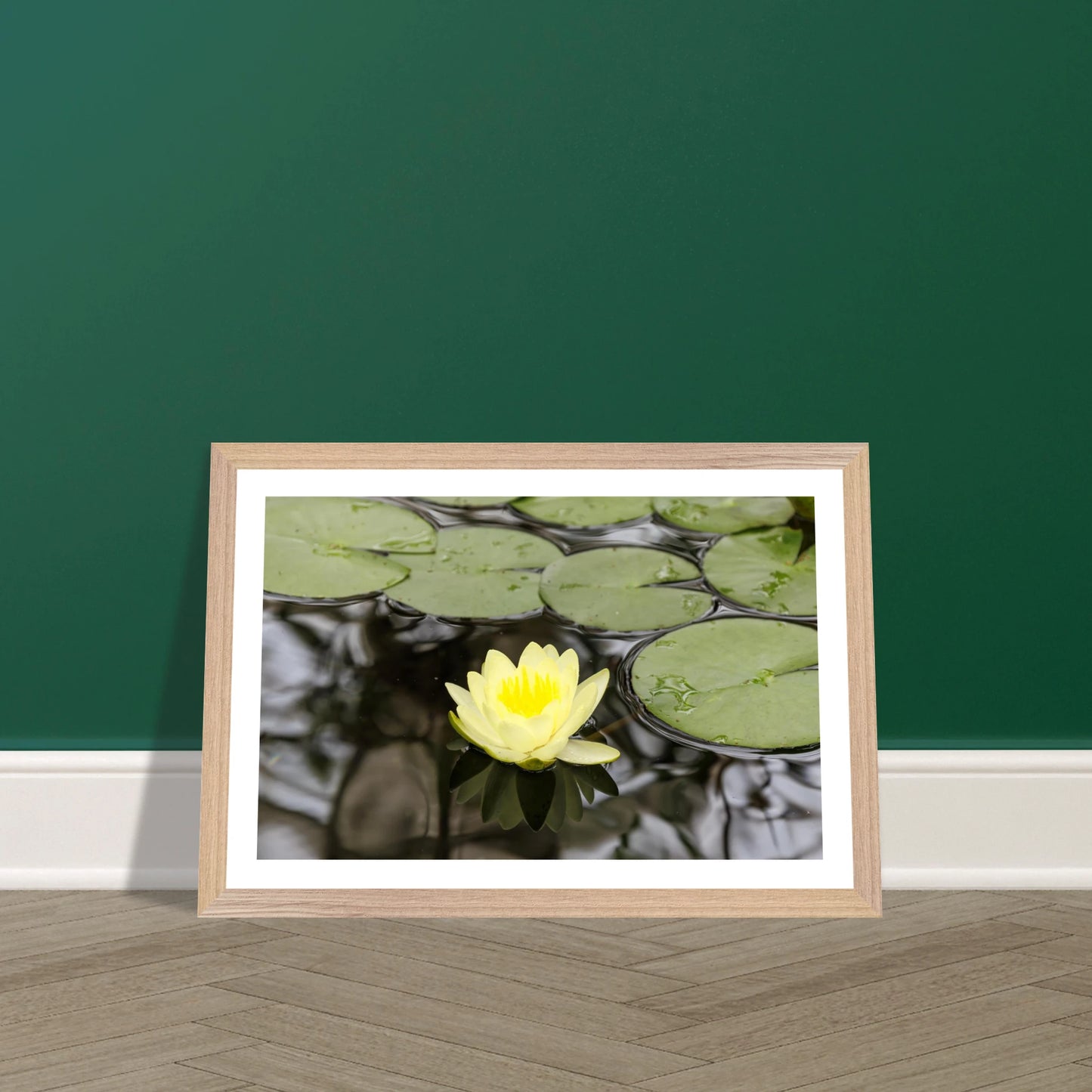 172a2459-ebc5-4fe2-9047-fbf2155daf5b