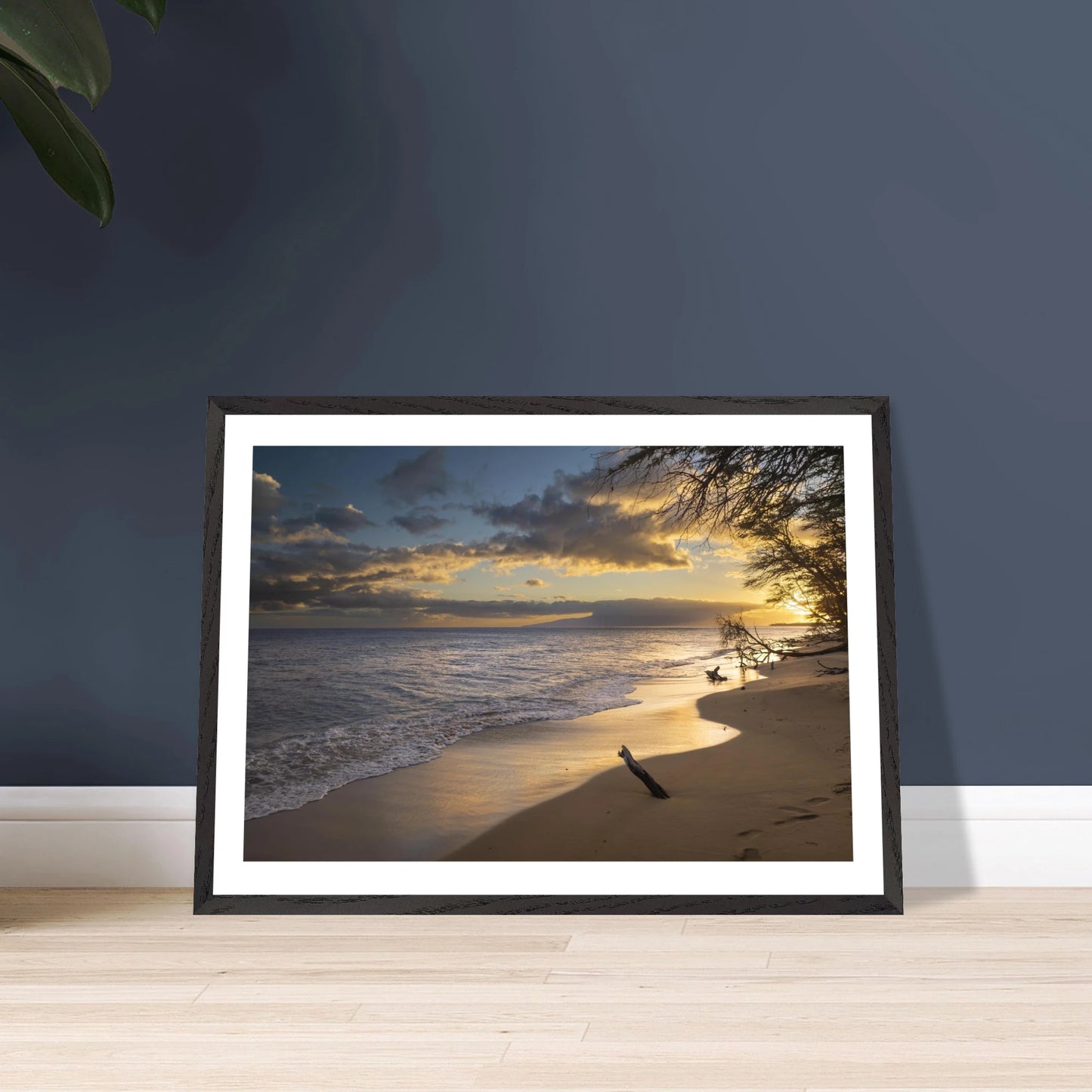 197e1740-c9fb-4831-b86d-b096d313c0a8