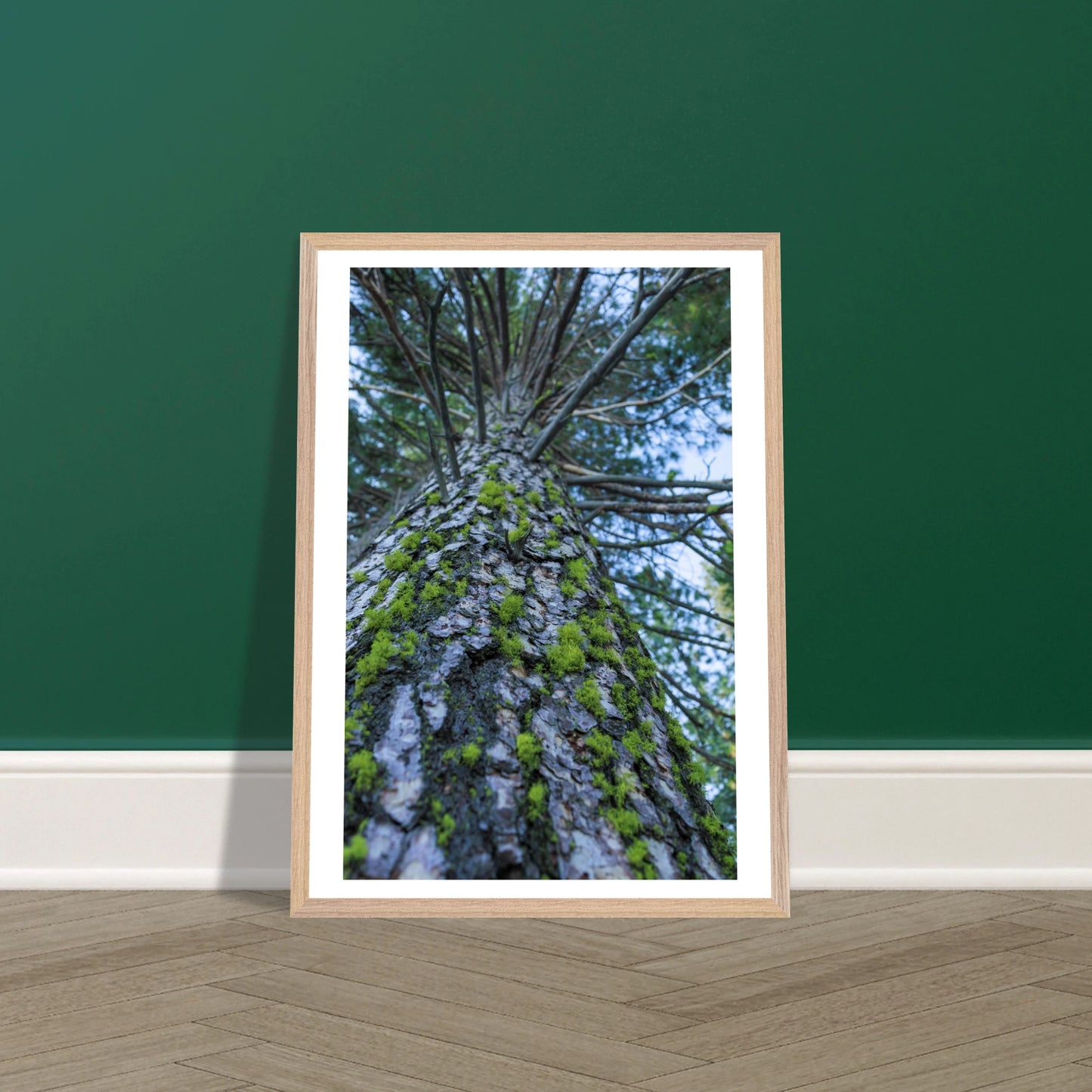 199bf44b-2930-4e8e-b7af-ef47b36b4043