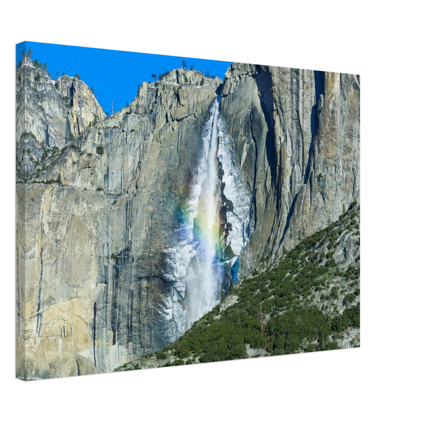 1aa2ce64-8d67-4b78-9ef5-f92780755553