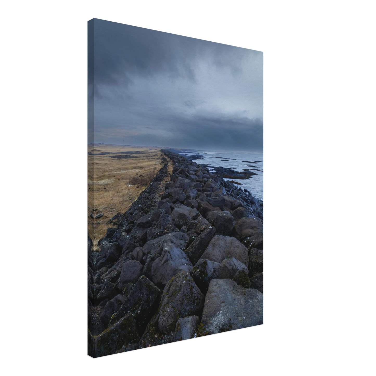 1b538fe4-7b3f-455e-bfa4-ad76c5550d66