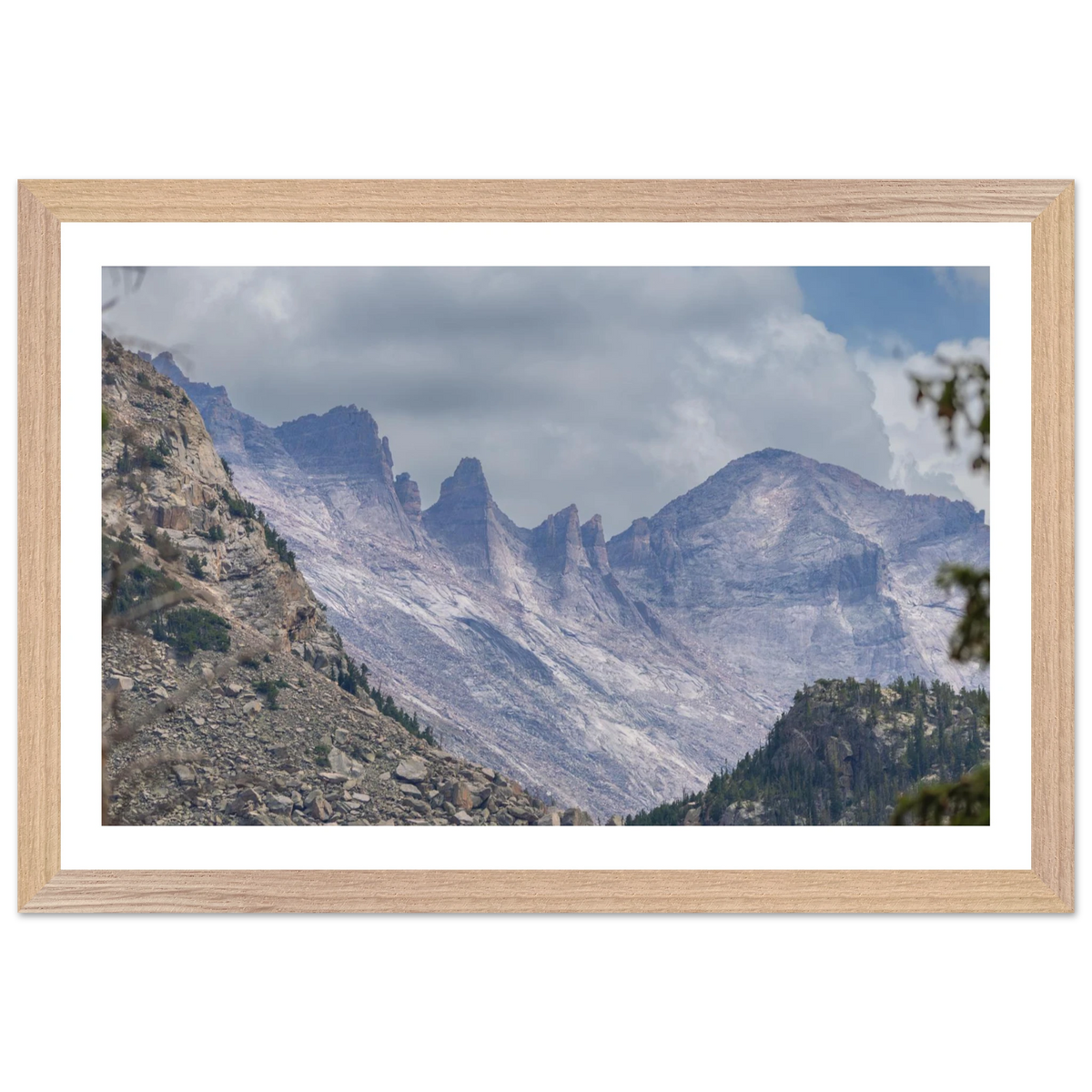 Infrared Redwoods — Dawn Sentinel — framed or canvas wall art preview