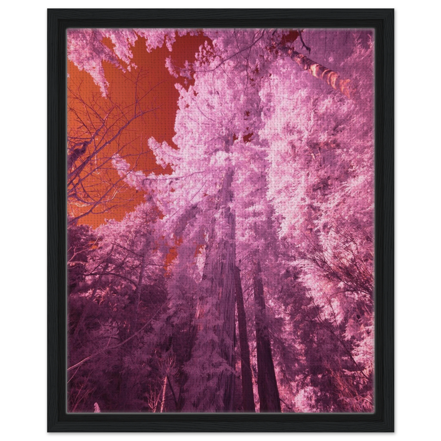 1b97f959-30d3-48f6-bded-35fb2e8b1c8d