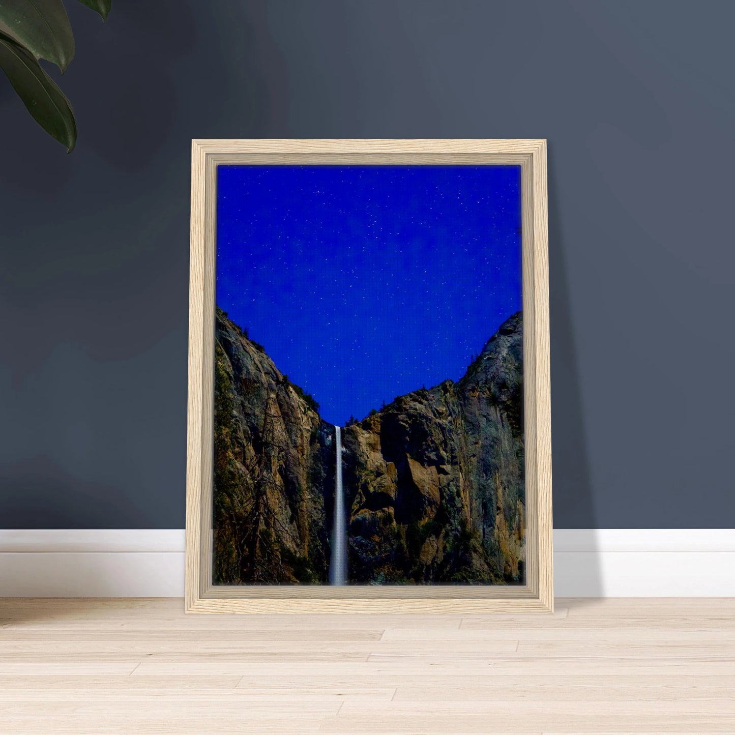 1ca8cbae-983a-4da7-8903-17e9ae238744