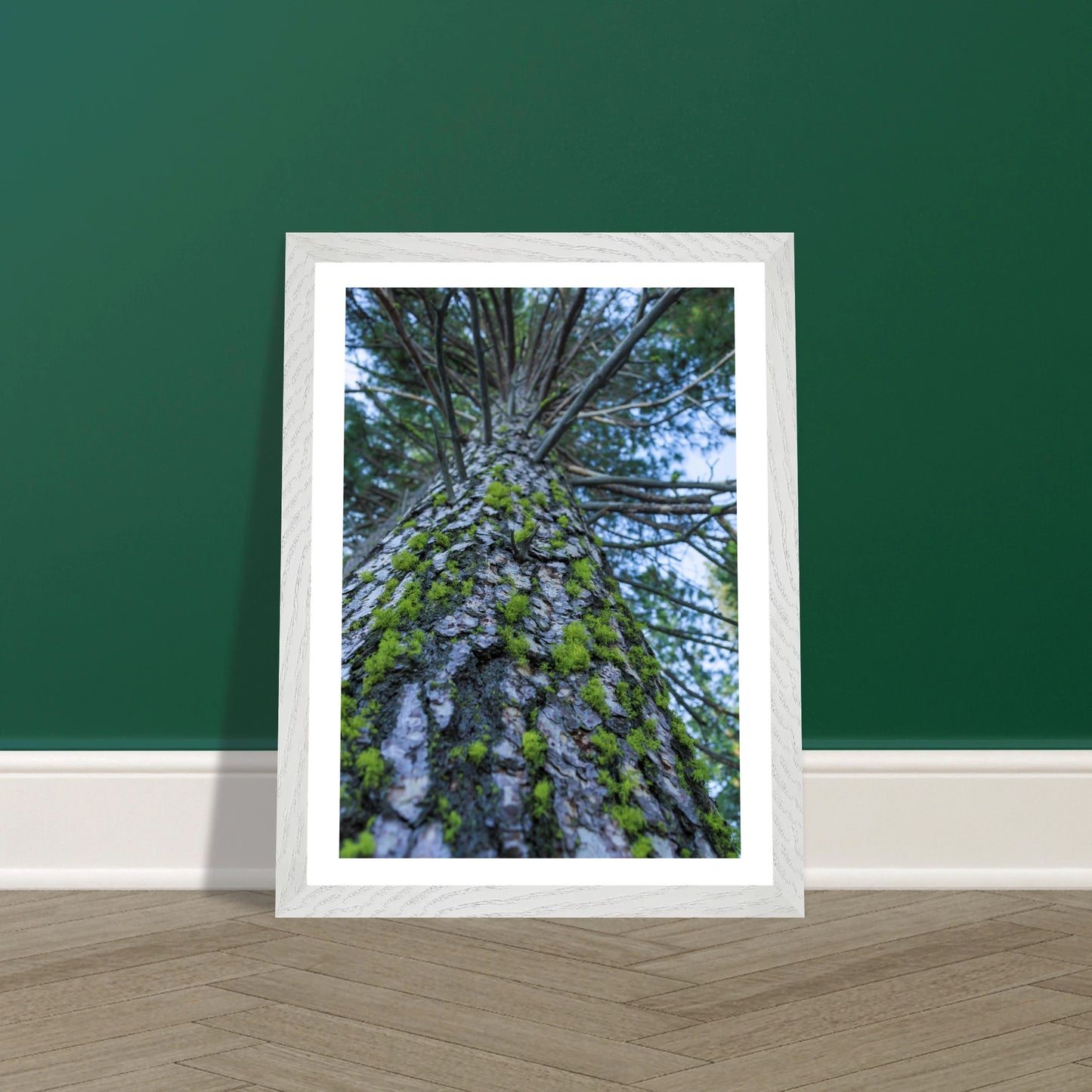 1ce4b2bf-5e2a-4837-b43a-1651f8c45d49