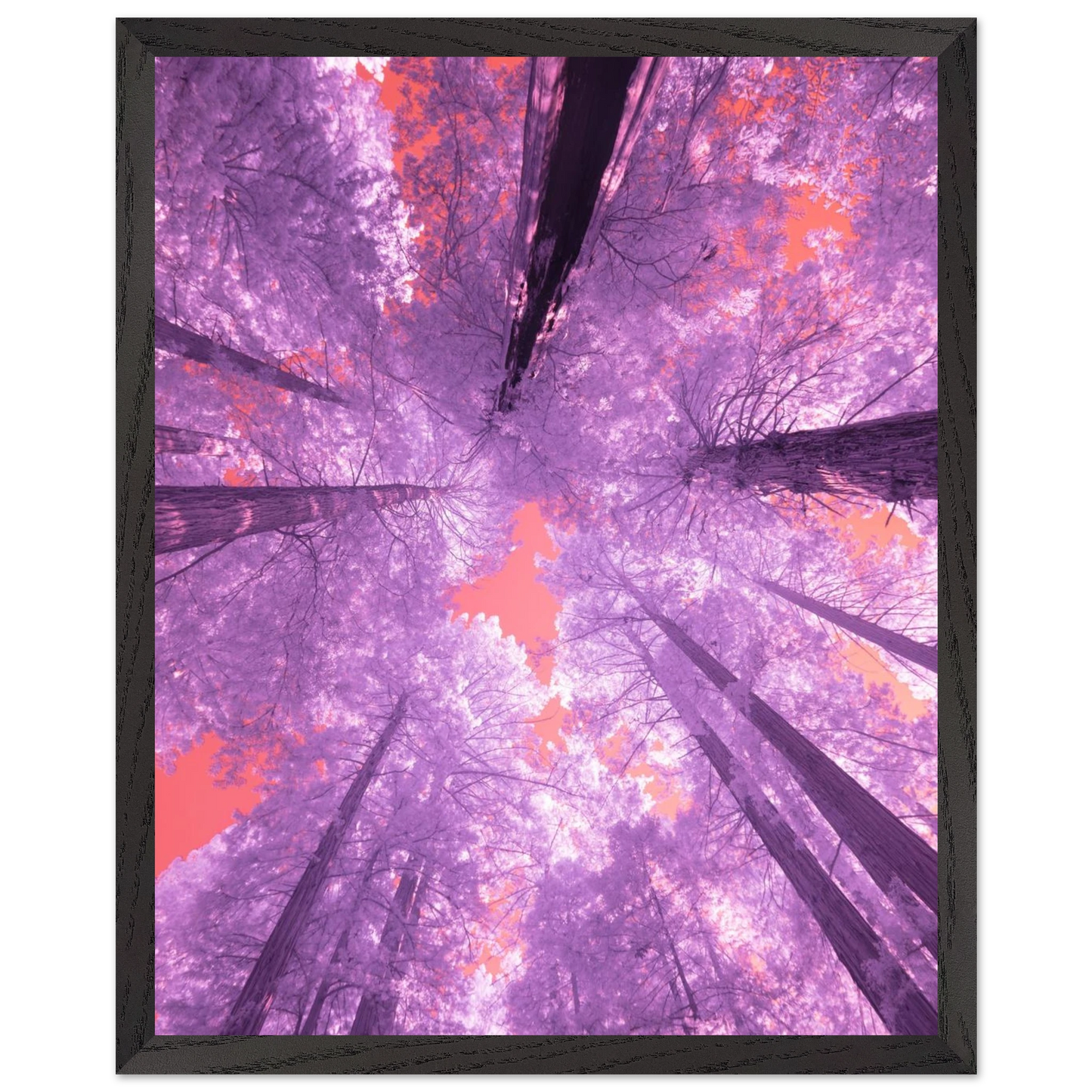 1e3850d7-7271-40e0-9910-70b3c4593619