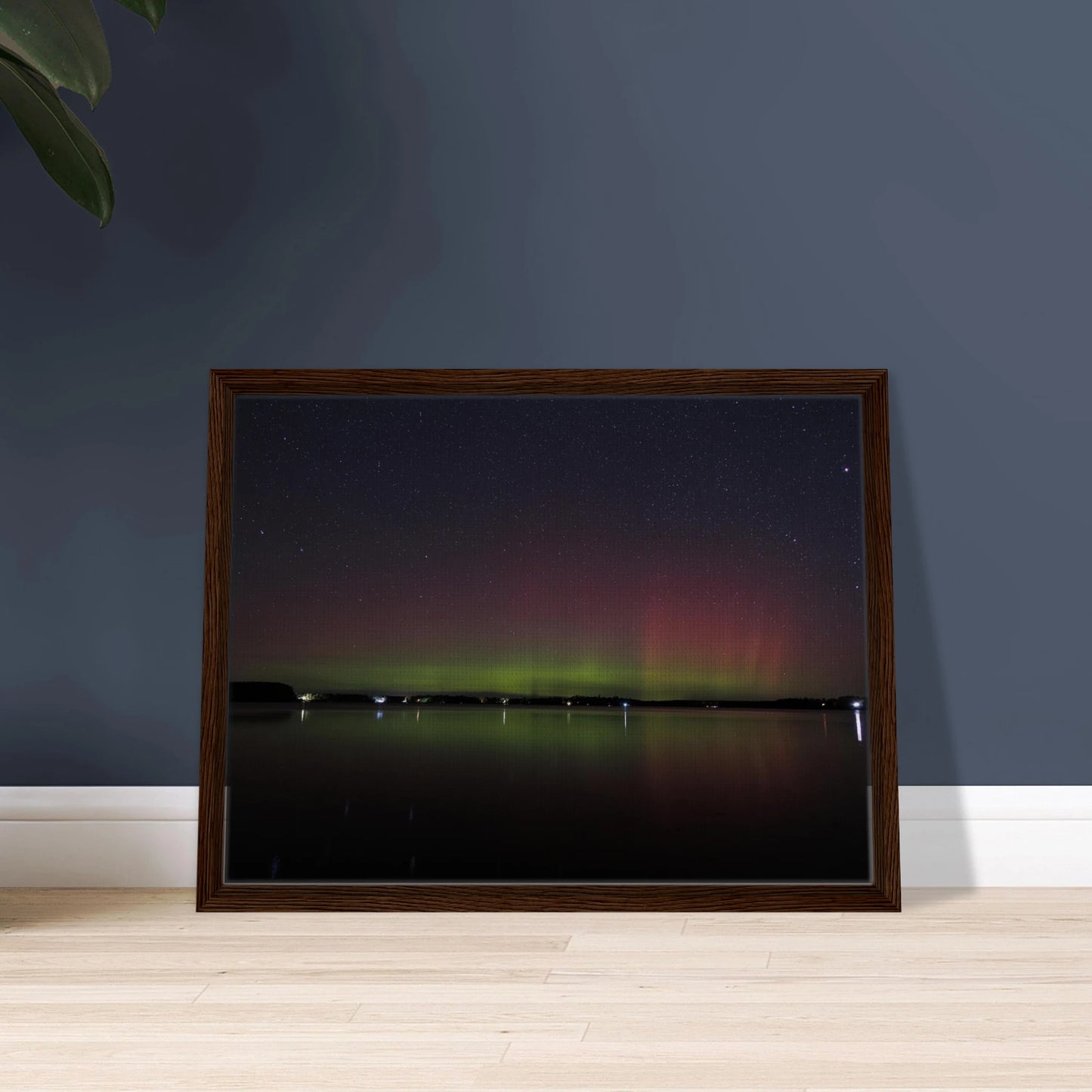 1f5ff4b0-6722-492d-8b6f-bd787056f5fe