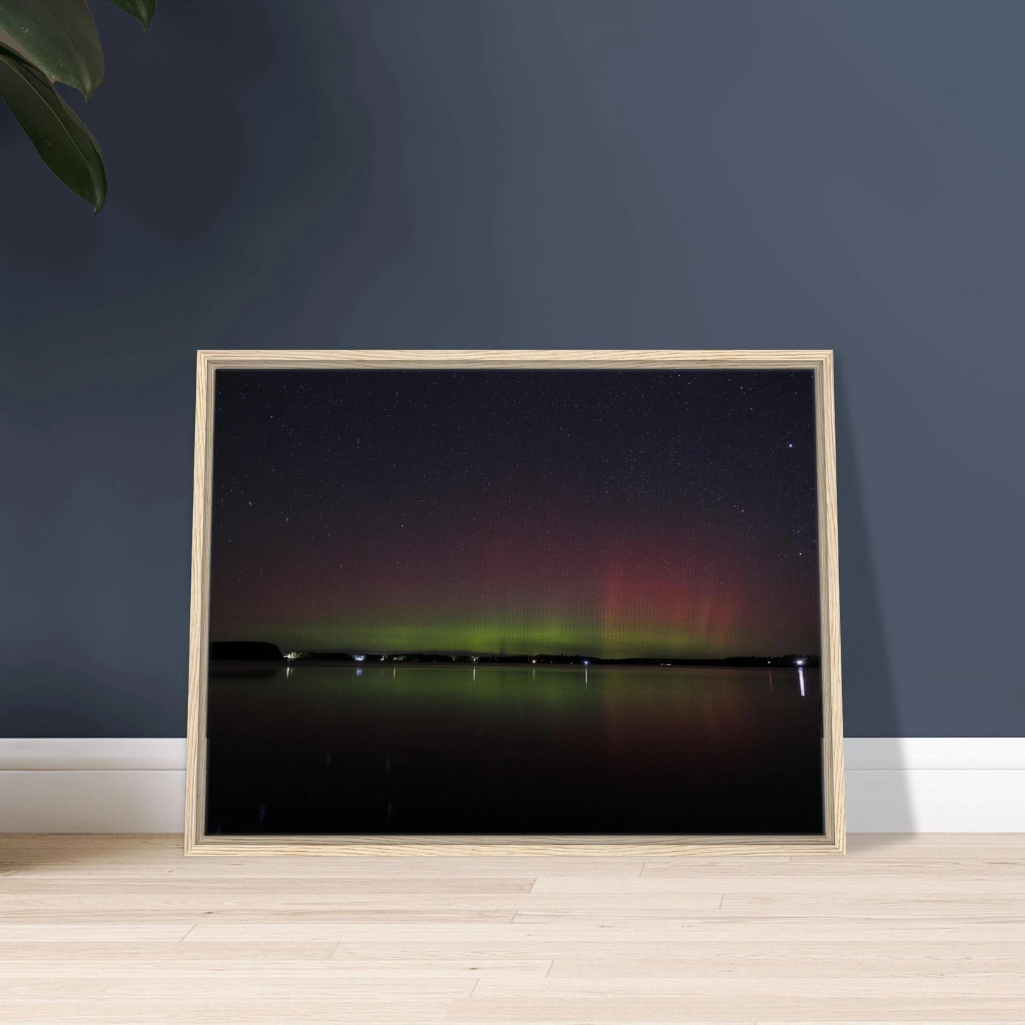 1f9d004e-9f1c-409d-991a-d5e200b9ef7b