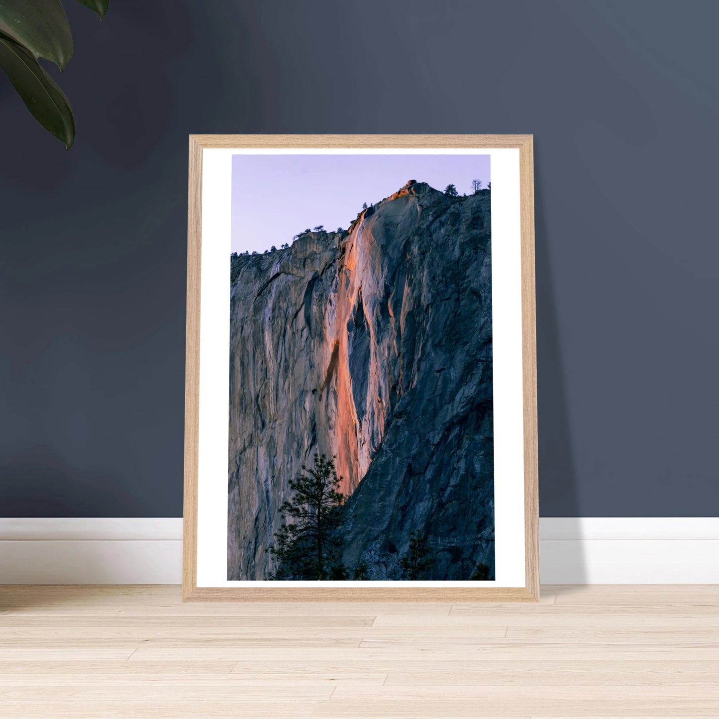 1ffc944e-ca46-4b97-9b3d-e3a2c07c4f4b