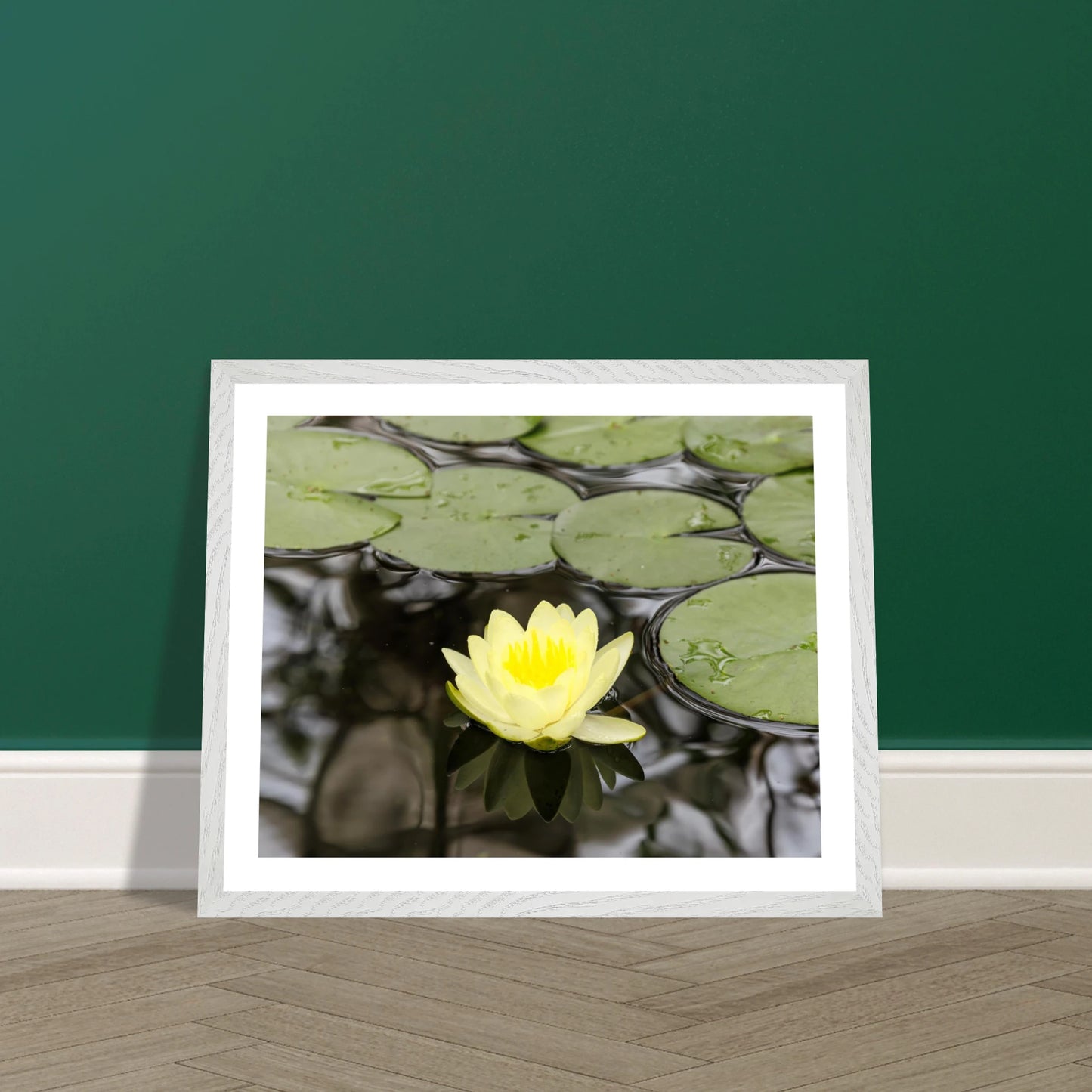 204cd1ad-a914-4c5f-b08c-2c381a8aeee0